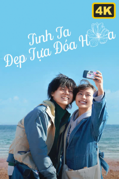 Tình Ta Đẹp Tựa Đóa Hoa 4K