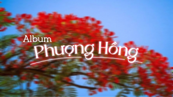 Album Phượng Hồng
